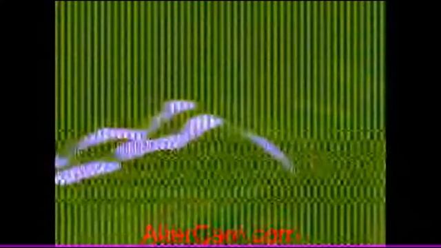 проверка камеры смотреть онлайн