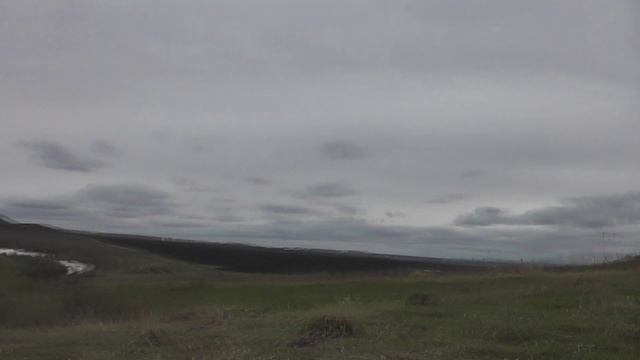 тетерев