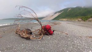 поход выходного дня, КАМЧАТКА, берег Тихого океана