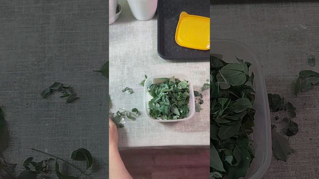 эвкалиптовая соль для ванн