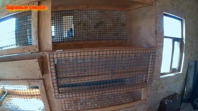 Клетка для перепелов мой вариант