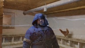 чистка курятника. зима.