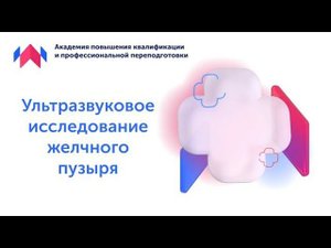 Узи для начинающих. Урок "УЗИ желчного пузыря"