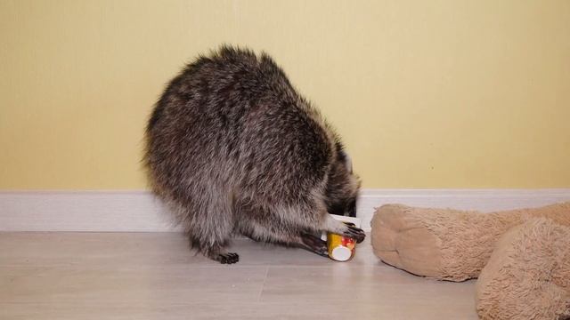 Наши домашние любимцы. Выпуск №1 смотреть онлайн