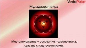 1. Муладхара-чакра.