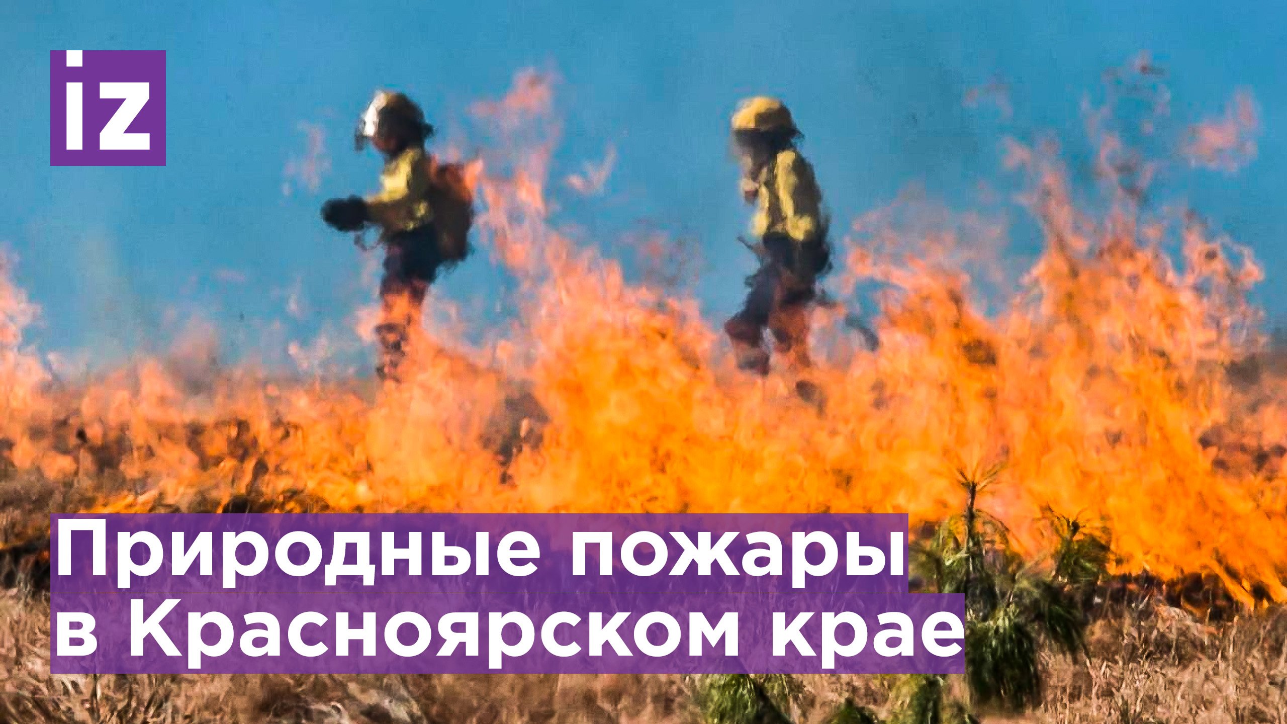 Загорелся национальный парк «Шушенский бор» в Красноярском крае / Известия
