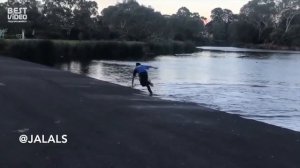 Пранк со змеей. Это уже классика - смешное видео