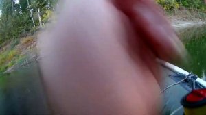 Поймал жереха на спиннинг. Ловля жереха на реке Урал