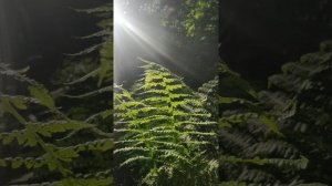 Очень действенная медитация на продажу