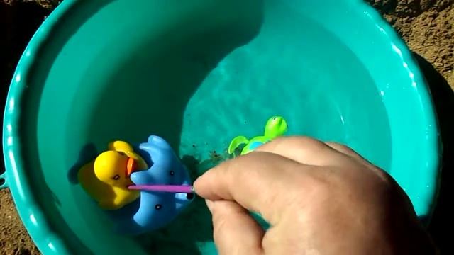 Заводная черепашка и утенок в бассейне смотреть онлайн
