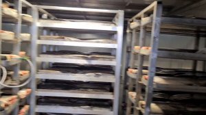 Камера дефростации (дефростер) воздушно-капельный для разморозки рыбы, мяса, птицы, масла и пр