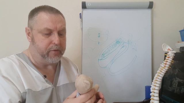 Ребенок изгибается назад. Почему возникает и чем грозит в дальнейшем. Что делать? смотреть онлайн