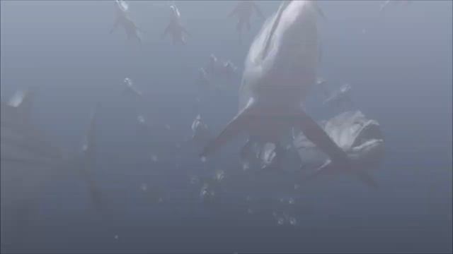 Доисторические обитатели океана. Морские динозавры.