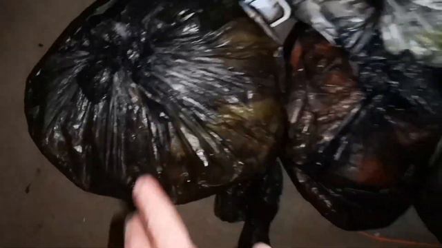 Так много дел, инкубатор яйца цыплята индюшата смотреть онлайн