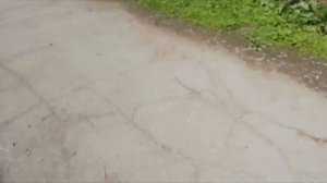 УНИВЕРСАЛЬНЫЕ КЛЮЧИ ДЛЯ ДОМОФОНОВ ОТ ZAF! 1 ЧАСТЬ!