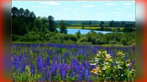 Природа Беларуси с  разнообразием густых лесов и лугов, голубых рек и озер,