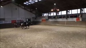 Grosse Quadrille Weihnachtsreiten 2018 Barsinghausen