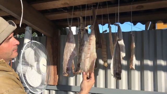 Готовим свежую рыбу выловленную в Баренцевом море