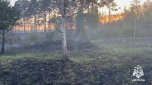 Пожар в Тверской области