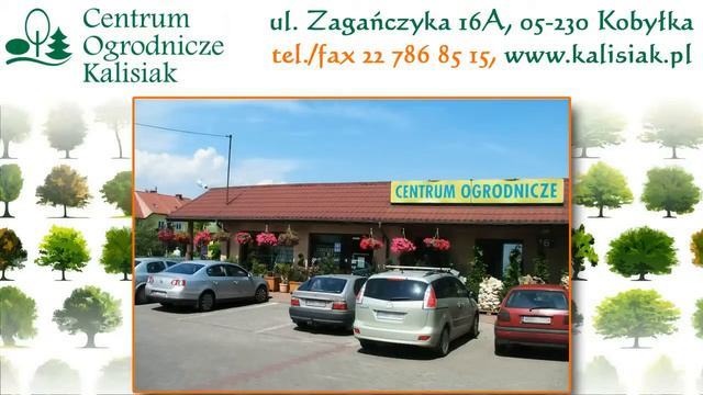 Centrum Ogrodnicze Kalisiak смотреть онлайн