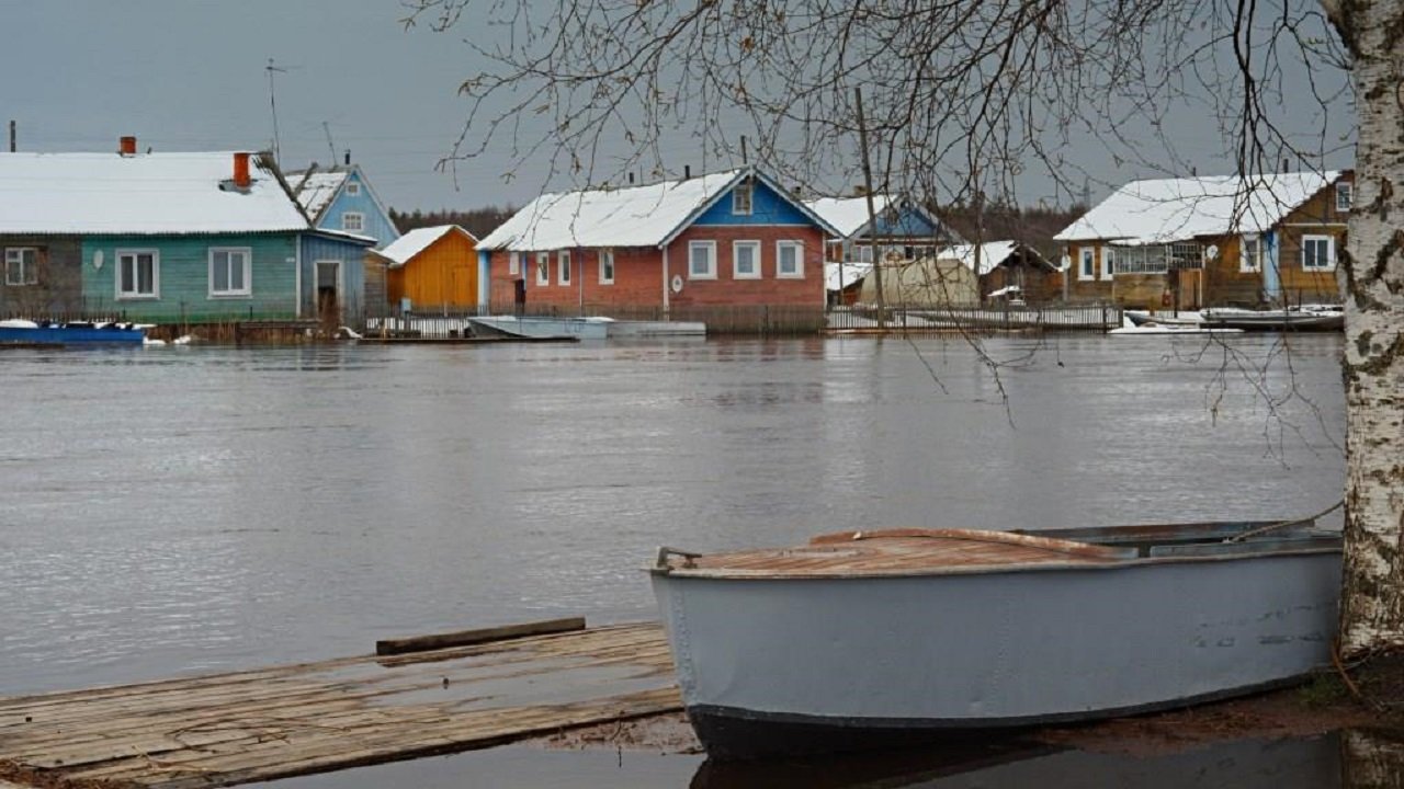 Затопляемая долина реки. Шалакуша Архангельская область. Половодье весной. Наводнение. Наводнения в России.