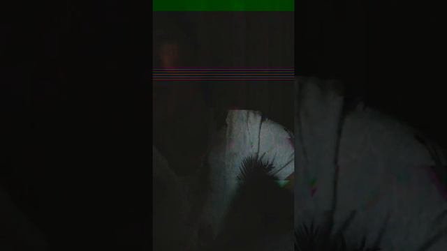 Встреча беда (Акишев Алишер)
