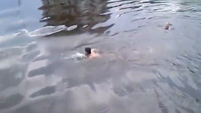 Мы прыгаем с моста! смотреть онлайн