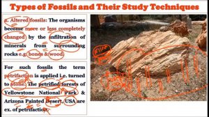 Types of Fossils & Their Study Techniques: Botany Optional for UPSC: UPSC Mains Examination