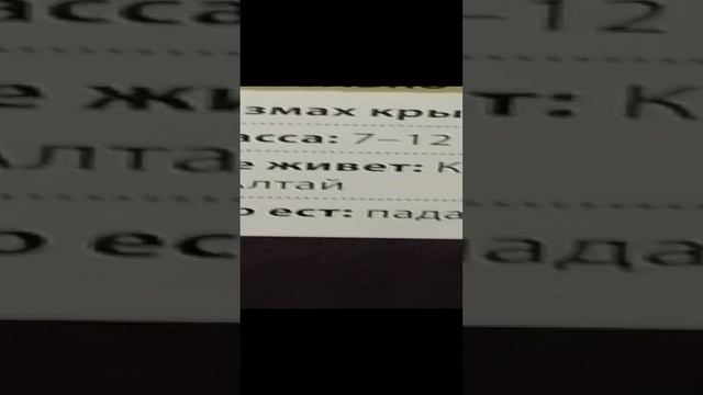 Красная книга России 3Серия.Очень интересно посмотрите это видео! Понравится уверена! Понравится!