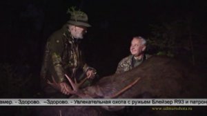 На лося "на реву" 2011 Rufjagd auf Elchwild