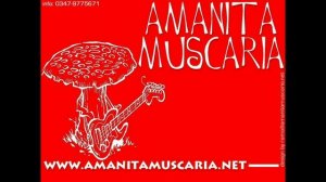 Amanita Muscaria - Amanita Muscaria