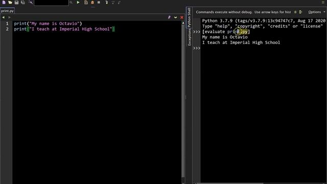 Python - Printing & the Main Function Tutorial 1