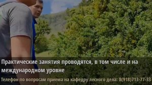 Что такое "ЛЕСНОЕ ДЕЛО" и где выпускник может работать? Ответы на вопросы в видео.