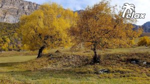 Autumn landscapes and the Sound of Wind In the mountains of the North Caucasus