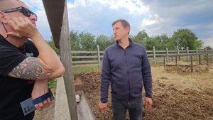 Разведение коров породы Шароле! Какие преимущества Шароле? Шаролезская порода коров! Животноводство