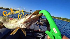 Пять фактов о ловли щуки в осенний период, факты о рыбалке на спиннинг осенью