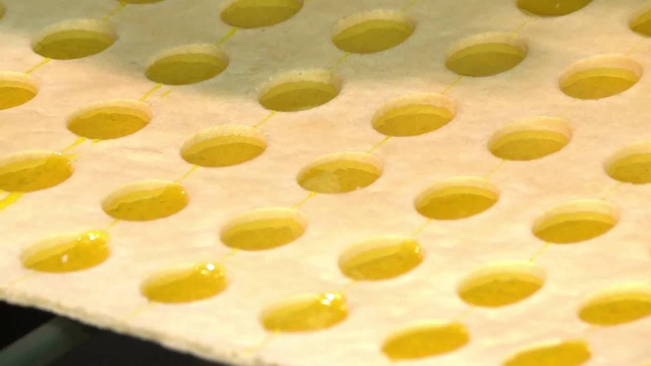 Автоматизированный комплекс скоростной отсадки/отливки масс АКСОМ смотреть онлайн