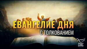 «БОДРСТВУЙТЕ, ПОТОМУ ЧТО НЕ ЗНАЕТЕ НИ ДНЯ, НИ ЧАСА, В КОТОРЫЙ ПРИИДЕТ СЫН ЧЕЛОВЕЧЕСКИЙ»/ЕВАНГЕЛИЕ ДН