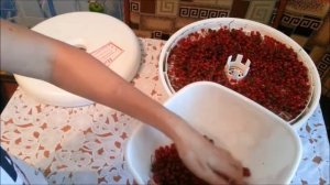 Сушка смородины