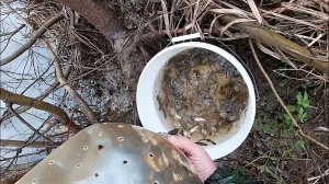 КАК ПОЙМАТЬ ЖИВЦОВ \ ИХ ТЫСЯЧИ