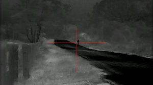 PARD THERMAL SA62-LRF-45MM. A melhor.