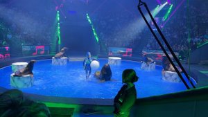 Легенда - Морские котики