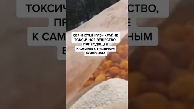 Почему люди, делающие КУРАГУ — не едят ее