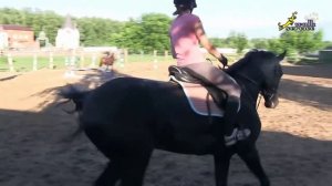 Конкур, ошибки прыжков на лошади или что говорят девушки, когда они в седле