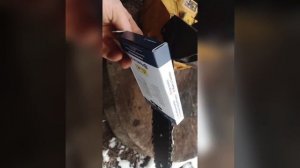 сравнение двух бензопил одноручек.