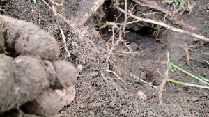 Находки по ДЖУРДЖЭНЯМ в Приморском крае.