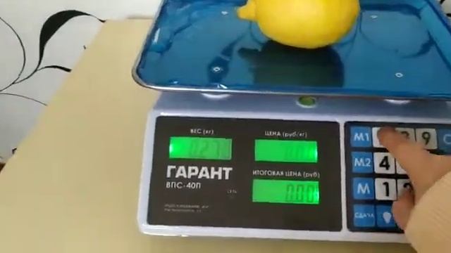 Весы торговые Гарант ВПС40П смотреть онлайн