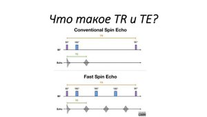 Основы МРТ(ЧАСТЬ 1). Что такое TR, TE, ИП?