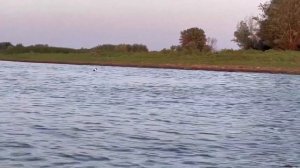 ЕДЕМ ОТДЫХАТЬ НА РЫБАЛКУ. АСТРАХАНСКАЯ ОБЛАСТЬ, СЕЛО МУМРА.