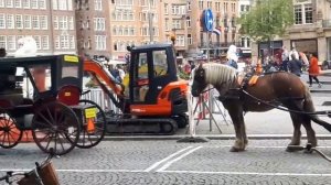 Приколы на улицах Амстердама, Голландия, Амстердам, видео приколы.